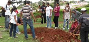tree_plantation